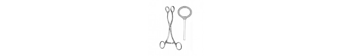 Tissue And Organ Holding Forceps